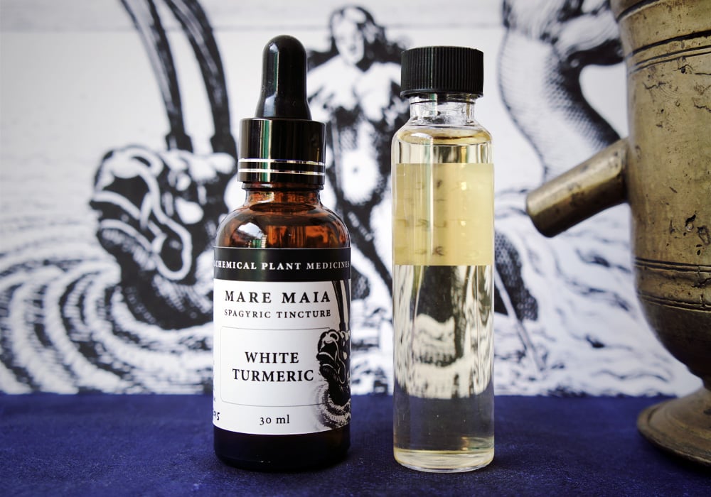 Image of WHITE TURMERIC spagyric tincture - alchemically enhanced plant extraction