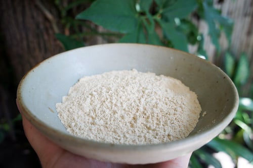 Image of MACA ROOT spagyric tincture - alchemically enhanced plant extraction