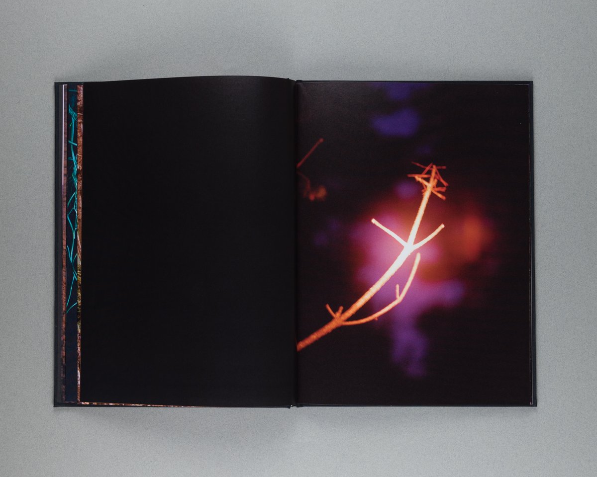 Coley Brown - A Recurring Dream | Silent Sound Books 