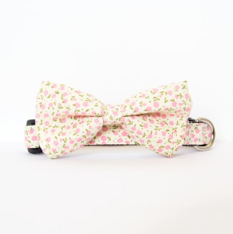 Image of Flower Bow-Tie Collar - Bianca 