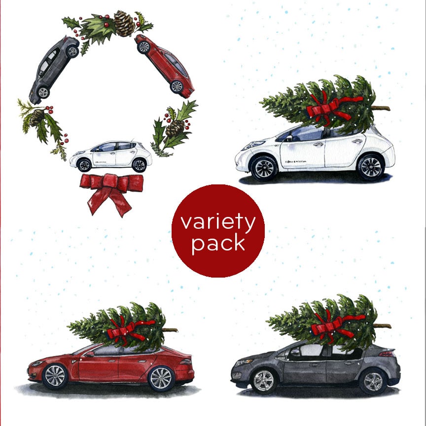 Variety Pack | electric holiday