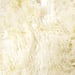 Image of 676685001825 Natural-NEW ZEALAND SHEEPSKIN-CURLY-SINGLE-OFFWHITE