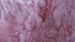 Image of 676685024596 Natural-NEW ZEALAND SHEEPSKIN  SINGLE - PINK