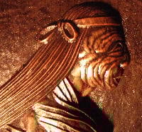 Image 4 of Fox Woman