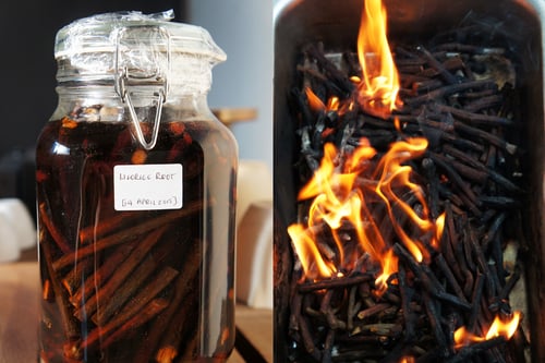 Image of LICORICE ROOT spagyric tincture - alchemically enhanced plant extraction