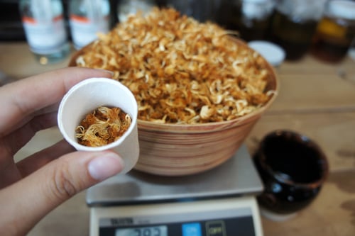 Image of LION'S MANE MUSHROOM spagyric tincture - alchemically enhanced plant extraction