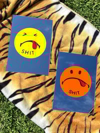 Image 2 of Shit! Mirror