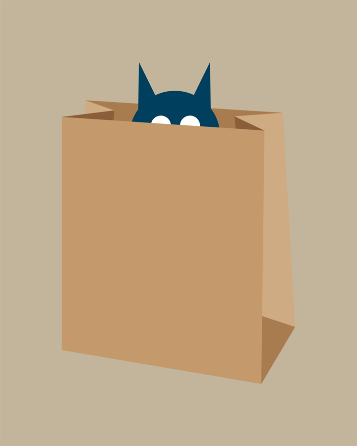 Cat in Bag Collection