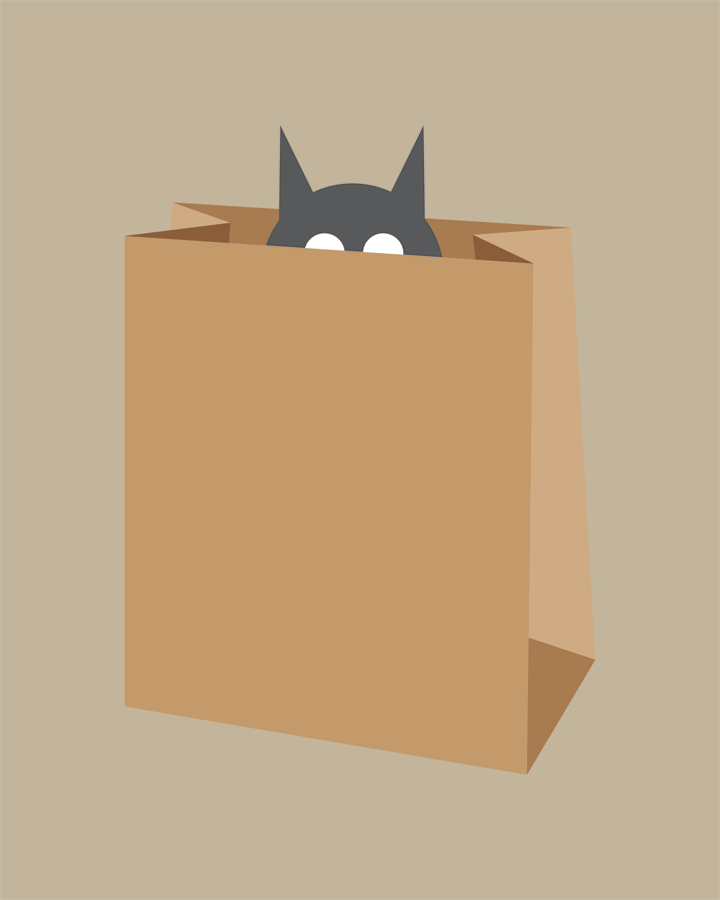 Cat in Bag Collection