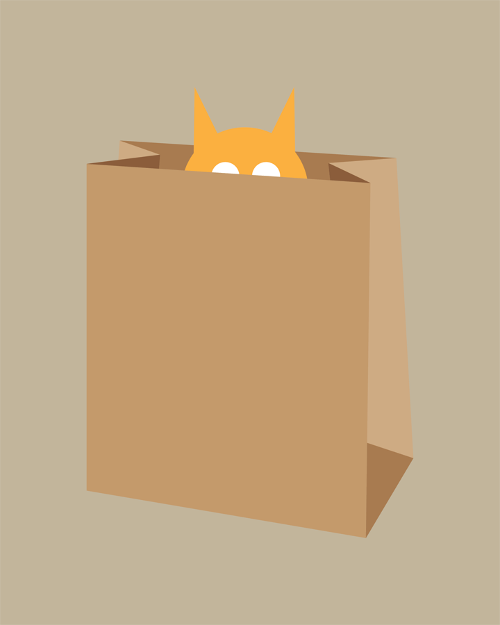 Cat in Bag Collection