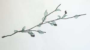 Image of V55 Branch with Berries