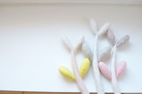 Image 5 of Little jade plant a/w '15 