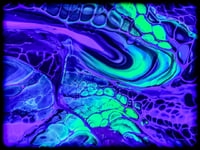 Image 6 of ZomBi II UV 10"