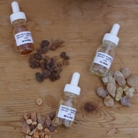 Image 1 of <small>Inscription aux stages de transmission</small>