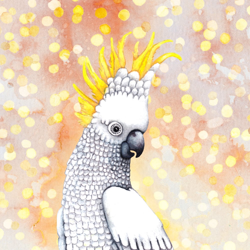 Image of  Cockatoo - A4 Giclée art print on HAHNEMUHLE photo rag paper