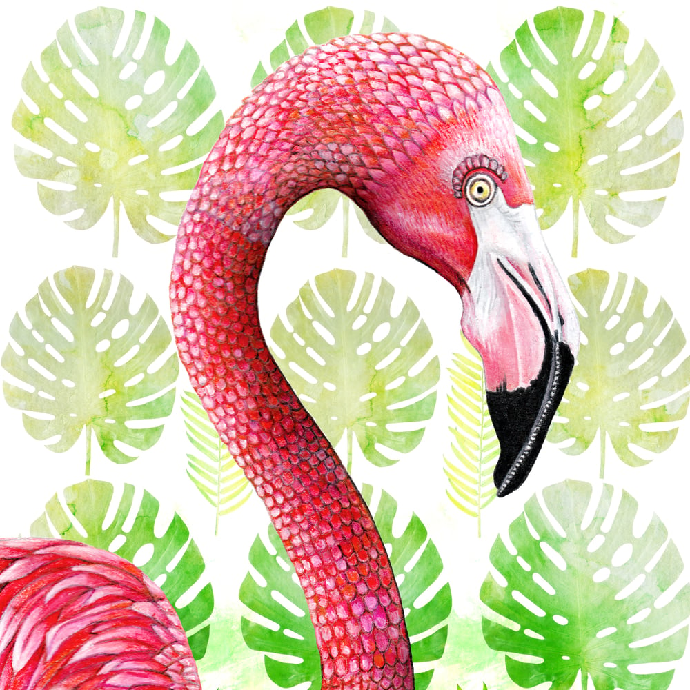 Image of Flamingo Tropico - Giclée art print on HAHNEMUHLE photo rag paper