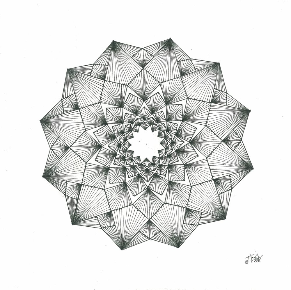 Image of 12 Star Spiral Rose