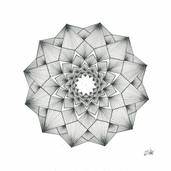 Image of 12 Star Spiral Rose
