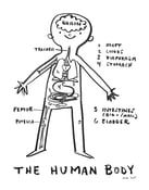 Image of NEW! The Human Body