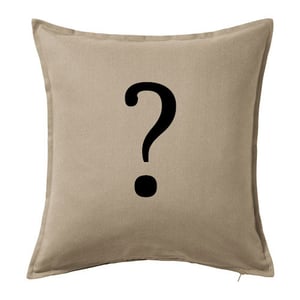 Image of SURPRISE! Custom Painted Throw Pillow Cover