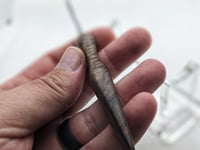 Image 4 of Walnut Burl Paddle