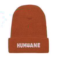 Image 2 of Humane Waffle beanie