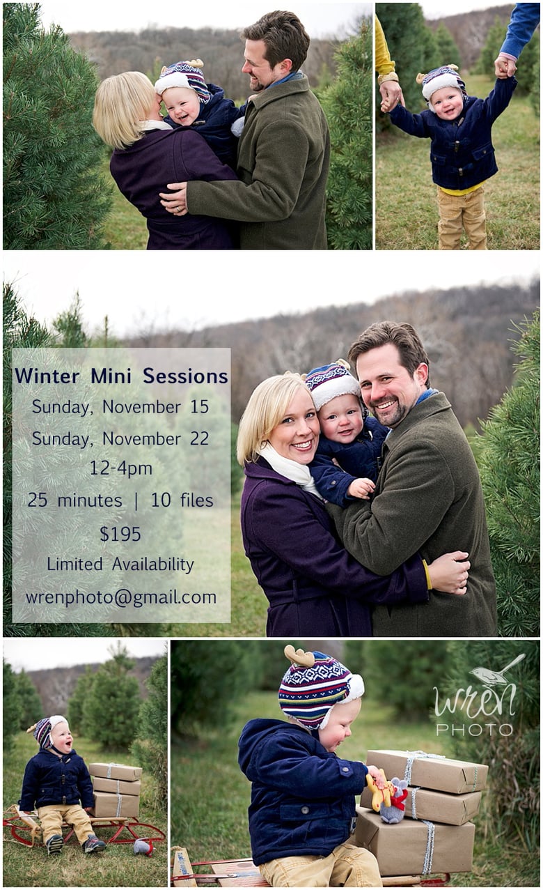 Image of Wren Photo Winter Mini Sessions 2015