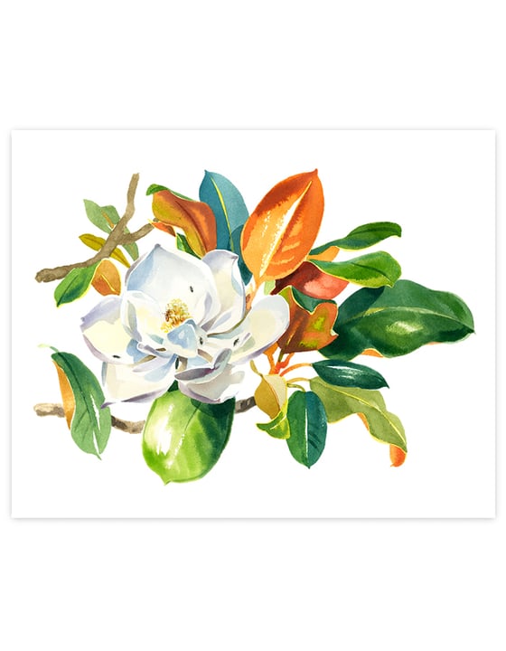 Image of Magnolia Grandiflora Giclée Art Print #2
