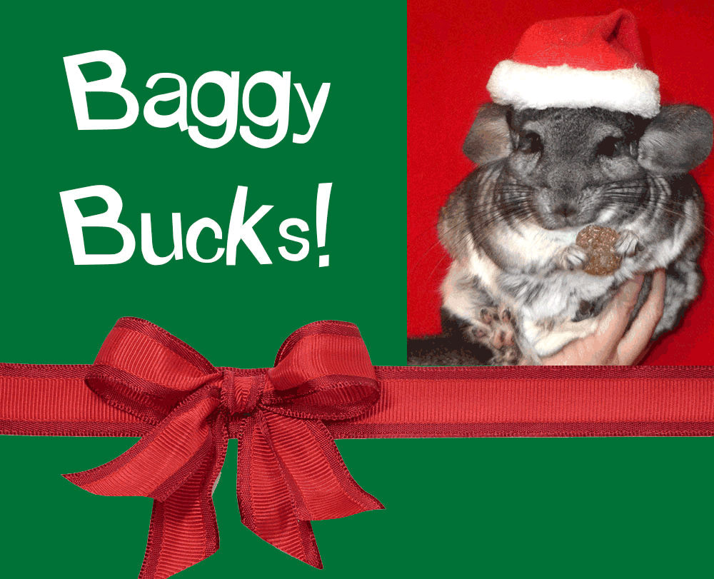 Image of Baggy Bucks – Gift Certificate