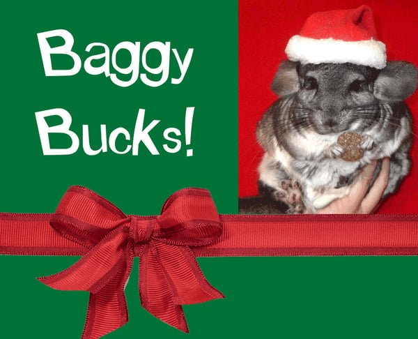 Image of Baggy Bucks – Gift Certificate