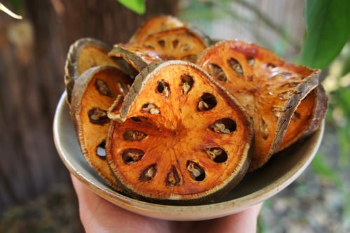 Image of BAEL spagyric tincture - alchemically enhanced plant extraction