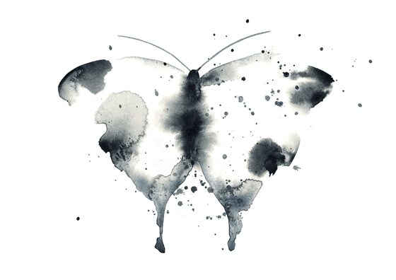 Image of Butterfly Black/White