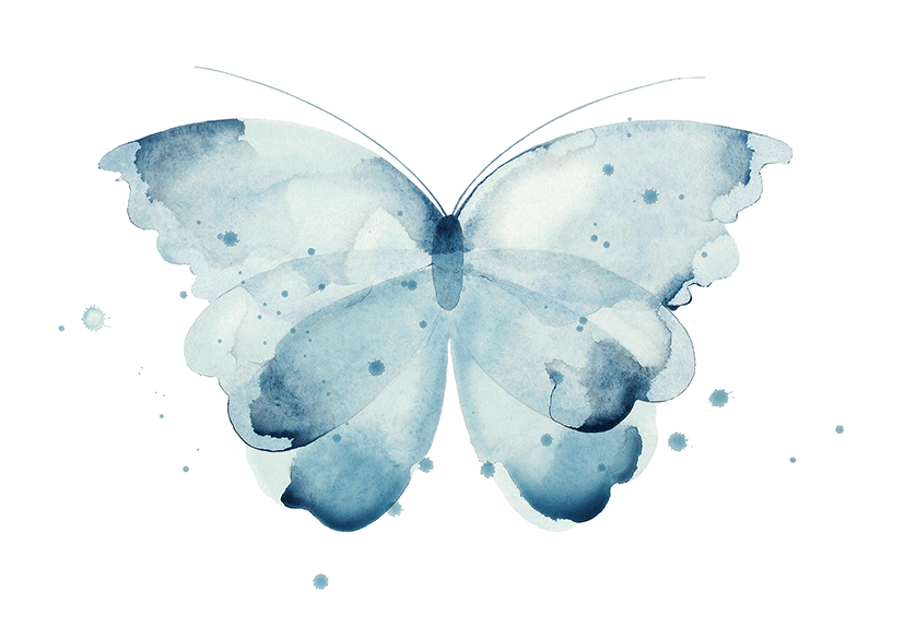 Image of Butterfly turquoise