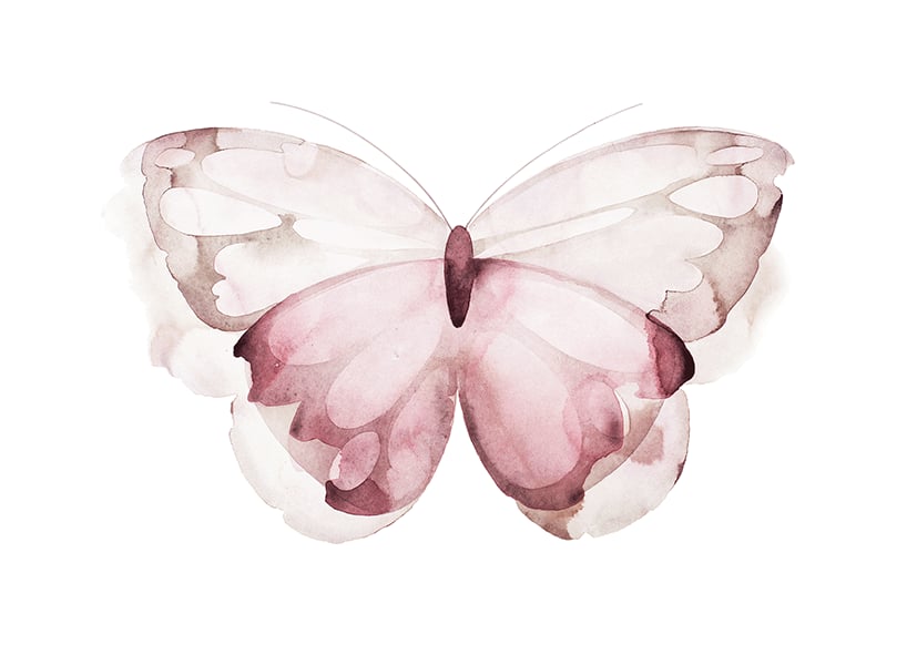 Image of Butterfly Pink