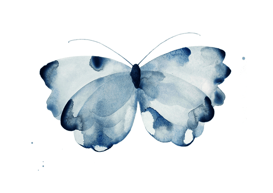 Image of Butterfly Dark Blue