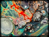 Image 3 of PlaNeT X 12" UV