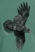 Image of Raven dyed longsleeve t-shirt