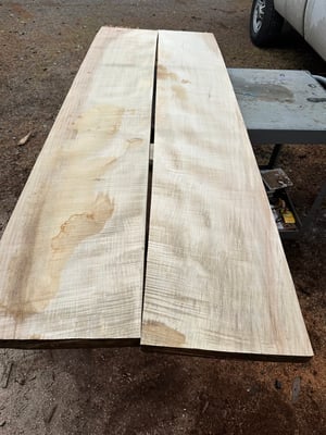 curly silver maple panel bookmatch
