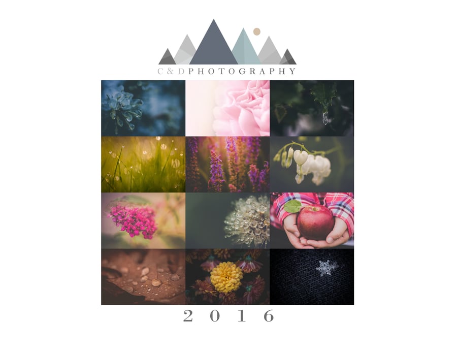 Image of 2016 Calendar