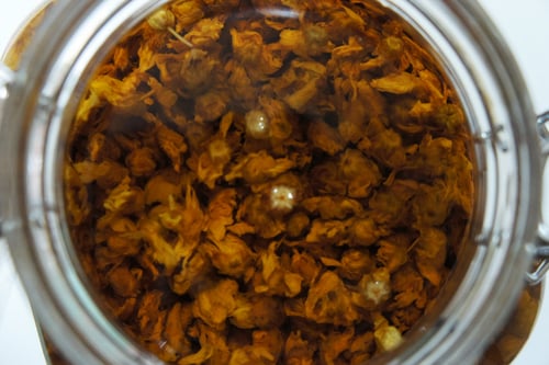 Image of CHRYSANTHEMUM spagyric tincture - alchemically enhanced plant extraction