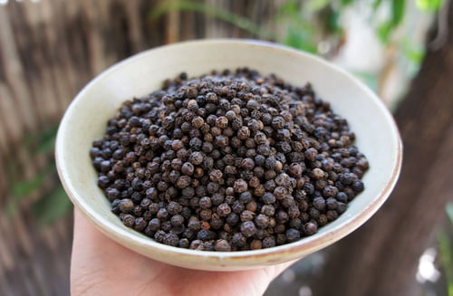 Image of BLACK PEPPER spagyric tincture - alchemically enhanced plant extraction