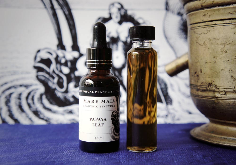 Image of PAPAYA LEAF spagyric tincture - alchemically enhanced plant extraction