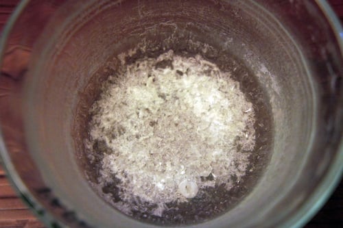 Image of PAPAYA LEAF spagyric tincture - alchemically enhanced plant extraction