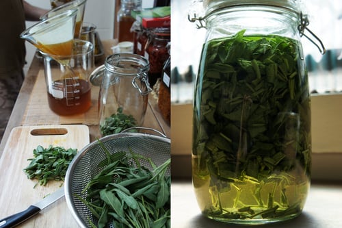 Image of SAGE spagyric tincture - alchemically enhanced plant extraction