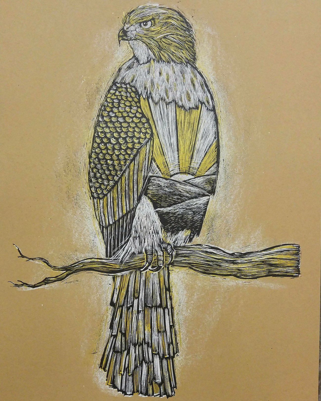 Cooper's Hawk at Sunrise Kraft Brown edition Ground Up Press Artwork