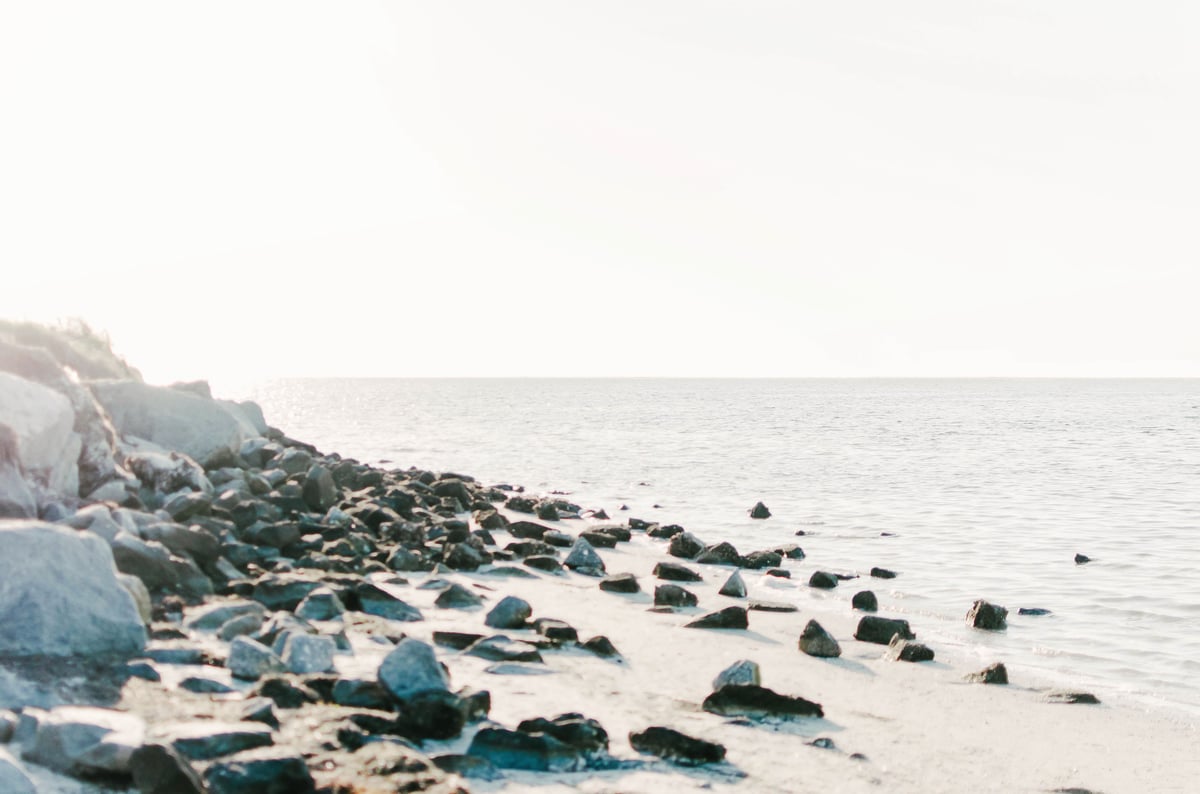 Honey Lake Studio — Collections