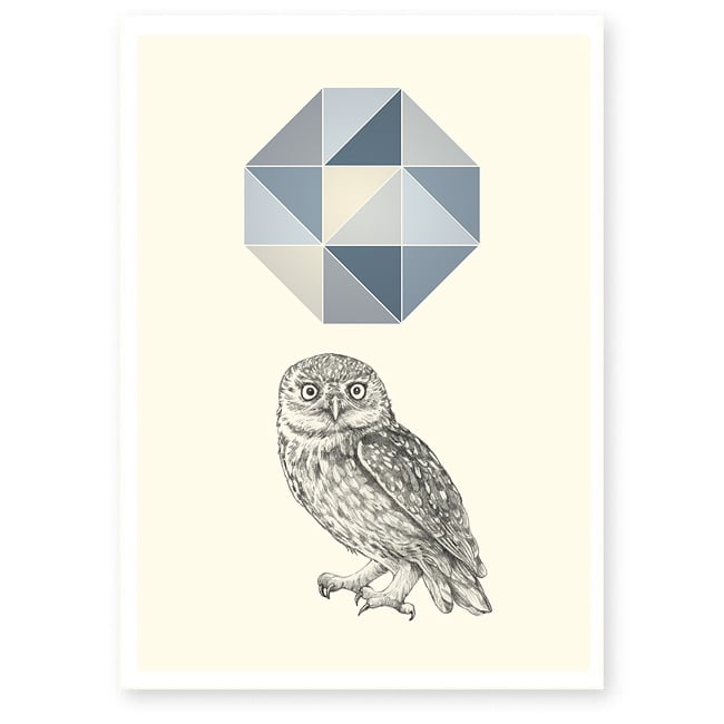 Image of Affiche A4 Hibou en décembre