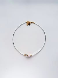 Image 1 of Lumina Rose