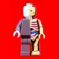 Image 2 of Jason freeny Micro Anatomic - Last one