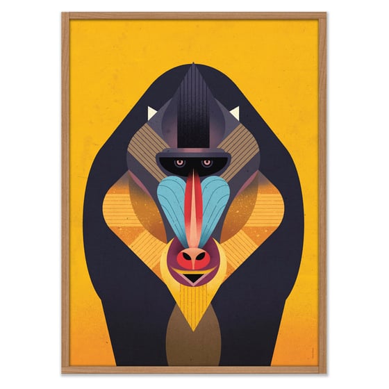 Image of Mandrill